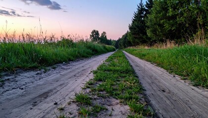 Serene Dirt Pathway Through Lush Green Grass at Sunset Twilight