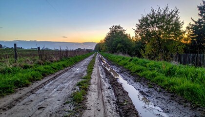 Fototapeta premium Serene Country Road at Sunrise with Muddy Path and Green Grass