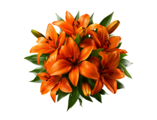 A bunch of light orange, slightly grotesque lilies in a clipart style, isolated on a transparent background