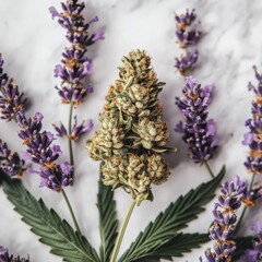 Close up of cannabis bud with leaf and lavender flowers on marble surface studio shot for wellness