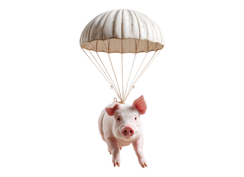 piggy on parachute - Powered by Adobe