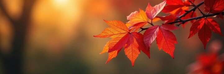 Crimson, gold, and russet leaves cling to branches , season, sunlight, vibrant colors