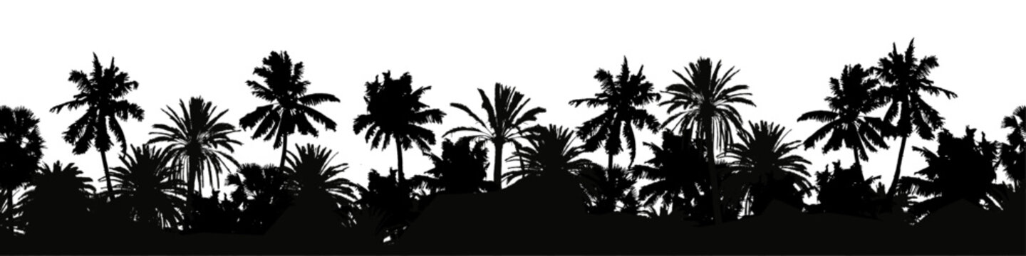 Seamless vector landscape with tropic palm tree silhouettes.