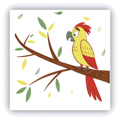 Four Sun Conures (Aratinga solstitialis) on branch, close-up