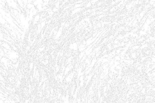 abstract art vector, Broken tiles mosaic pattern. texture interior background line art. set of graphics elements drawing for architecture and landscape design. cad pattern