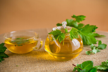 Green tea from currant leaves and mint in a glass teapot