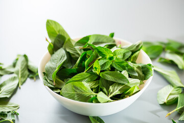 Composition with fresh mint on gray surface from above