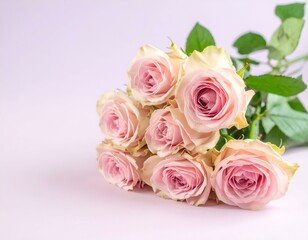 Fototapeta premium Delicate bouquet of pastel pink roses on a lavender background. Perfect for Valentine's Day, Mother's Day, or wedding invitations.