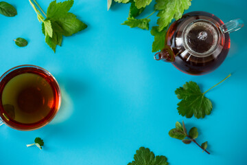 Green tea from currant and mint leaves in a glass teapot