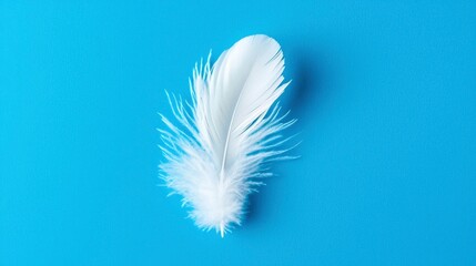 Single white feather on vibrant blue background (1)