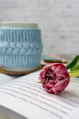 Pink tulips, an open book and a mug of freshly brewed coffee or tea. Spring set. Flatley layout.