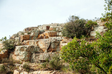 landcape of rocky field in the forest