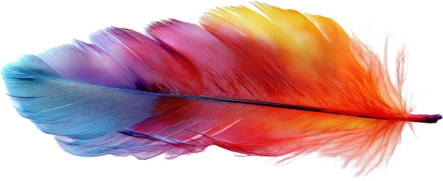 Colorful Bird Feather Image