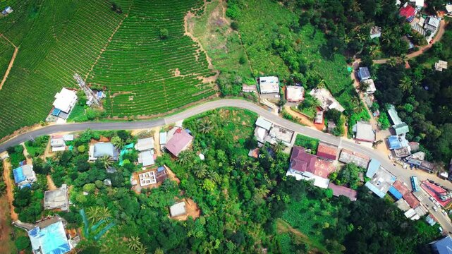Ariel shot of tea plantations in vagamon, Kerala, India. Vagamon is a hill station located in Kottayam- Idukki border of Kerala


