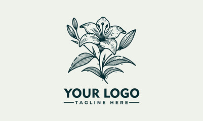 Elegant Line Art Illustration of a Lily Flower with Graceful Petals and Detailed Stem. Floral Design Concept