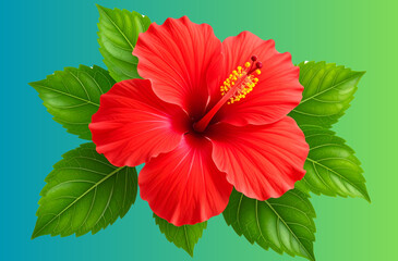 Three pink lotus flowers isolated on a transparent background, - Red hibiscus flower with green leaf on a transparent background,