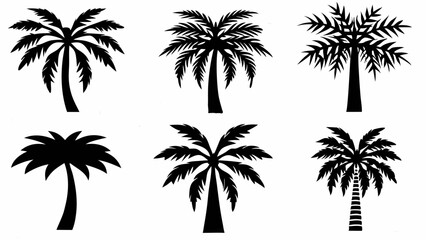 Fototapeta premium palm trees silhouettes