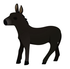 Domestic donkey isolated. vector illustration