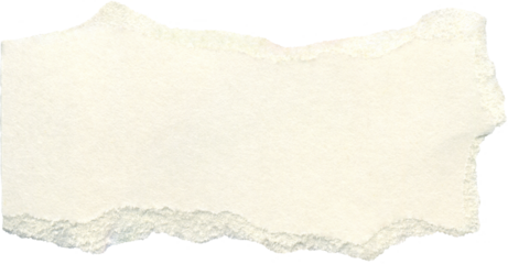 Textured torn paper scrap. Vintage beige, ivory, cream cardboard. Ripped carton piece with eggshell texture. Universal background for collage, scrapbooking.