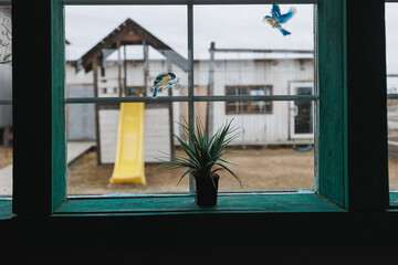 A beautiful view of a colorful playground can be seen through the window, which is partially obscured by a lovely plant positioned in front of it