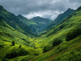 Obraz premium Lush Green Mountain Valley Landscape View Under Cloudy Sky in Summer Nature Scenery of Caucasus Mountains