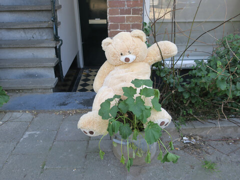 teddy bear with heat stress