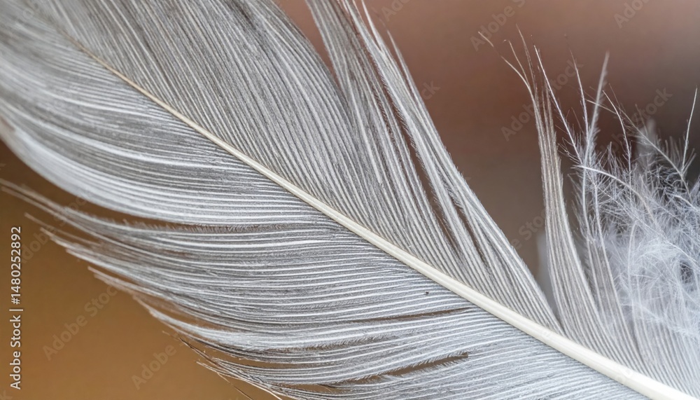 Poster captivating close-up of a delicate feather natural setting macro photography soft focus background