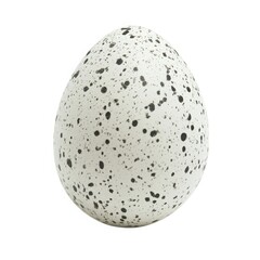 Isolated close up of a single speckled egg with a white background in a studio shot with good lighting