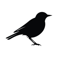 Obraz premium Lark Bird Silhouette Clipart Set Black on White Background