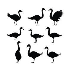 Swan Bird Silhouette Clipart Set Black on White Background