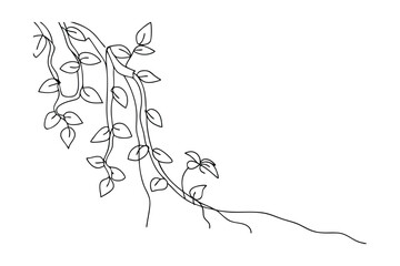 Fototapeta premium Elegant black and white vector illustration of a trailing vine with delicate leaves