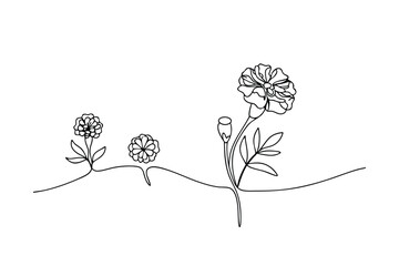 Delicate continuous line drawing of marigold flowers in bloom with leaves and buds
