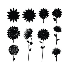Dahlia Flower Set Silhouette Clipart on White Background
