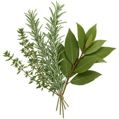 Fototapeta premium Fresh thyme, rosemary, and bay leaves tied together for a culinary and aromatic experience