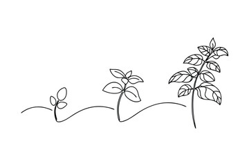 Simple line drawing showing plant growth stages from sprout to fully grown plant