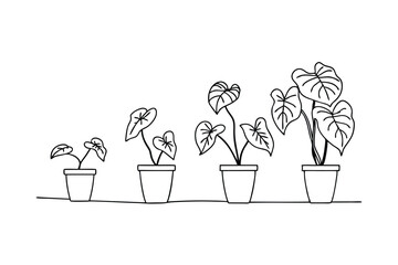 Plant growth stages depicted in black and white showing progression and development
