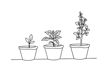 Hand drawn illustration of plant life cycle stages in pots from small to fully grown