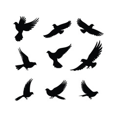 Dove Bird Set Silhouette Clipart on White Background