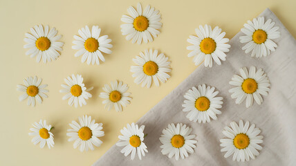 Fototapeta premium Flat lay of white daisies arranged on a soft pastel yellow background with minimal shadows and clean, realistic floral composition