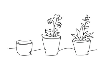 Minimalist continuous line drawing depicting three stages of plant growth in pots