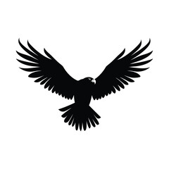 Obraz premium Hawk Bird Set Silhouette Clipart
