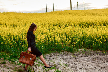 Businesswoman in a black suit carrying a briefcase walks across a cracked field next to a bright...
