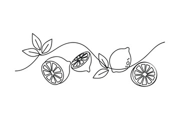 Elegant minimalist lemon illustration featuring leaves and fruit slices in a continuous line