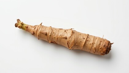 a chicory root, white background, pale skin, bitter taste, 4k resolution