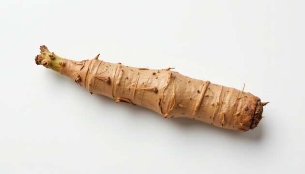 a chicory root, white background, pale skin, bitter taste, 4k resolution