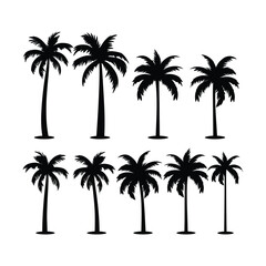Palm Set Silhouette Clipart on White Background