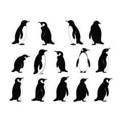 Naklejka premium Penguin Set Silhouette Clipart on White Background