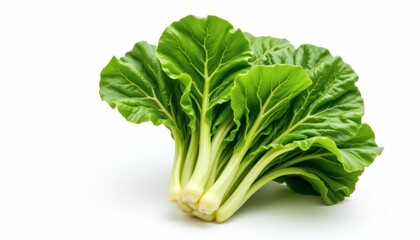 a escarole, white background, broad leaves, green hue, 4k resolution