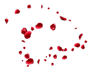 Beautiful Peach Fall Vector Panoramic Transparent Background. Spring Blossom Cover. Red Lotus Beauty Design.