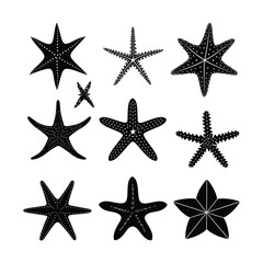 Starfish Set Silhouette Clipart on a White Background